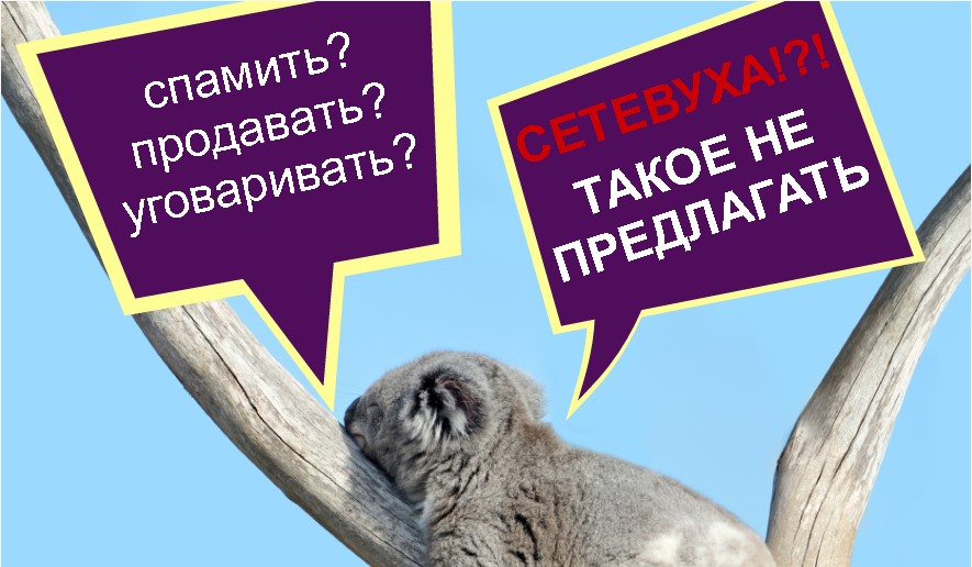 СЕТЕВУХА? Мне такое не предлагать!